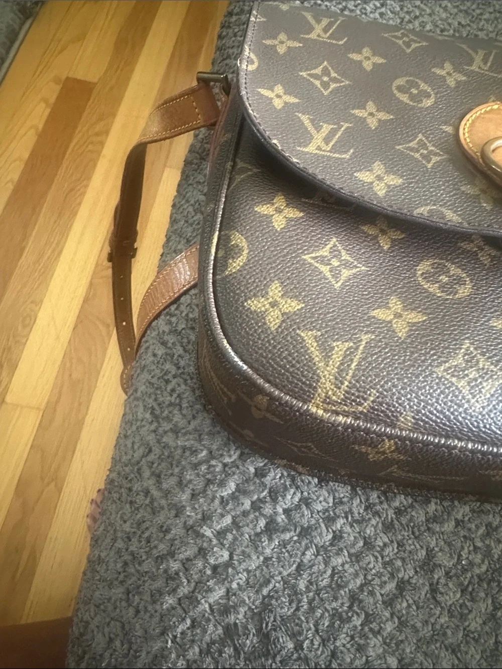 Louis Vuitton iconic louis